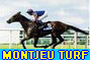 Montjeuturf, pronostic quint&eacute;